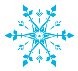 The image shows a snowflake which is 6 pointed star shaped, and is the Parkinson's Blue colour.